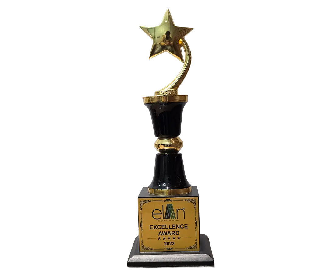 Star Performer Award